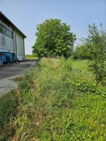 Immobile in asta di 46130 m² in vendita a Villimpenta - Foto 3