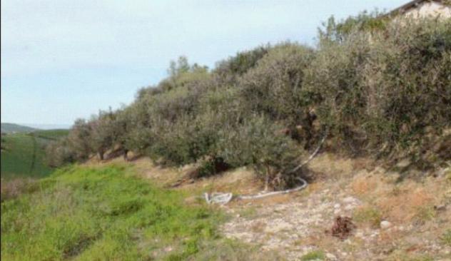 Immobile in asta di 129 m² in vendita a Lapedona - Foto 9