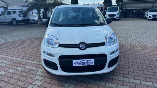 FIAT Pandina 1.0 FireFly Hybrid 65cv POP KMO rif. 23669471 - Foto 3