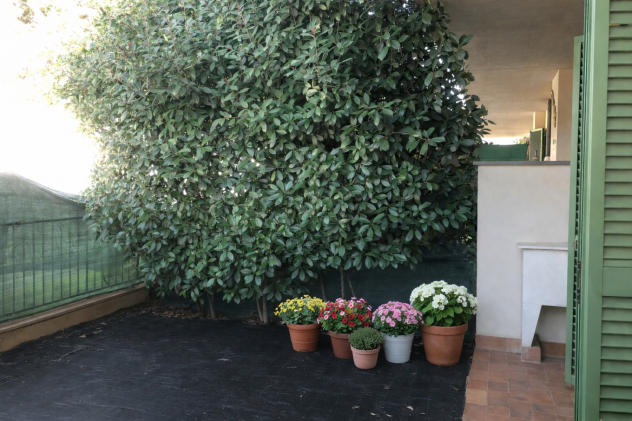 Appartamento in vendita a San Pietro a Vico - Lucca 45 mq Rif: 1441293 - Foto 6