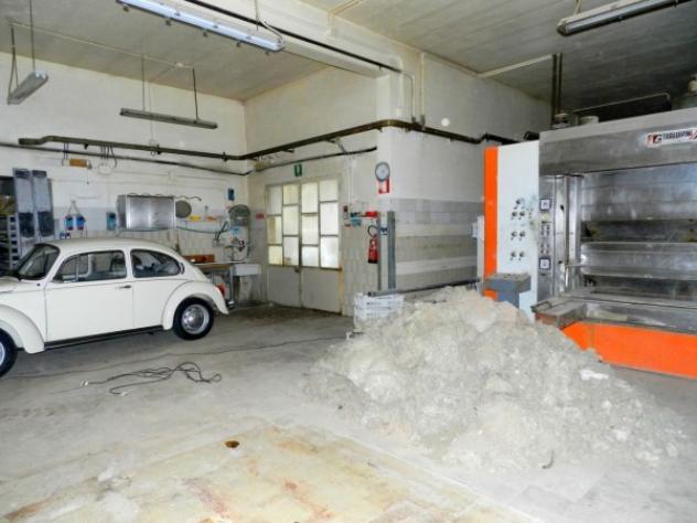 Porzione di casa in vendita a Orciano Pisano - Foto 13