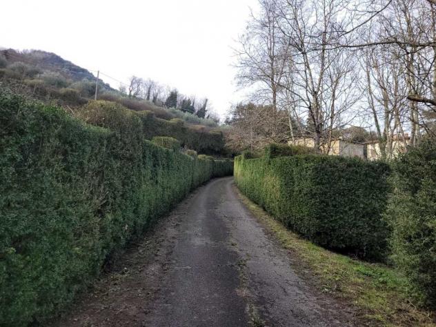 Villa in vendita a Pescaglia - Foto 16