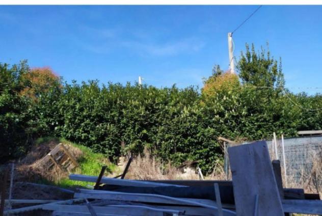 Immobile in asta di 324 m² con più di 5 locali e box auto in vendita a Valmontone - Foto 7