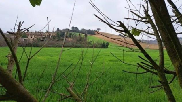 Immobile in asta di 249058 m² in vendita a Senigallia - Foto 7