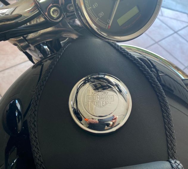 HARLEY DAVIDSON SPORTSTER XL 1200 CUSTOM 2011 - Foto 10