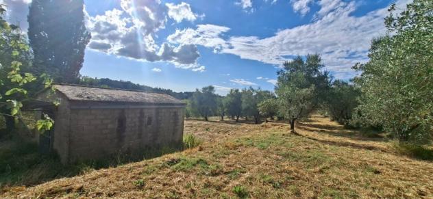 Terreno edif. residenziale in vendita a San Pietro In Belvedere - Capannoli 6500 mq Rif: 1337843 - Foto 5