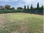 Vendesi terreno agricolo