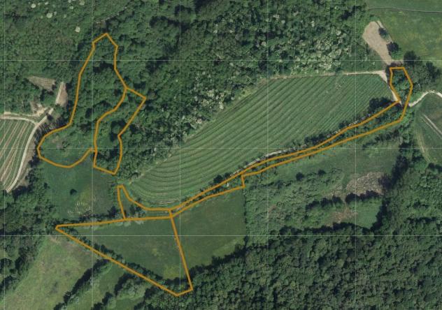 Seminativo in vendita a Cividale del Friuli