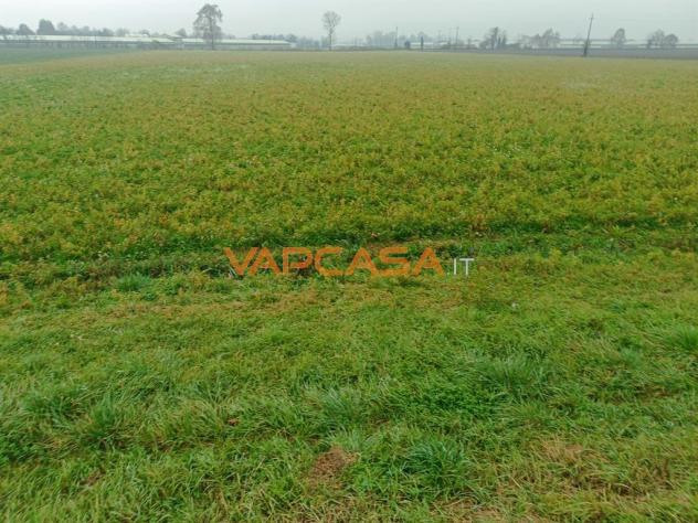 TERRENO AGRIOLO PIANEGGIANTE CON ACCESSO DIRETTO - Foto 5