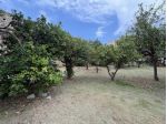 Area verde in vendita a Loano