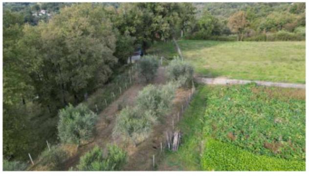 Immobile in asta di 12981 m² in vendita a Rivello - Foto 3