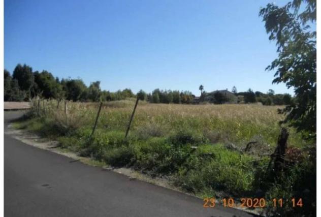 Immobile in asta di 20557 m² in vendita a Simeri Crichi - Foto 5