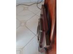 Scultura Antica Nautica Timone Mogano Bronzo
