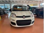 FIAT Pandina 1.0 FireFly 65 CV Hybrid Icon rif. 24091650