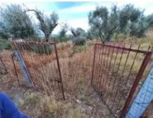 Immobile in asta di 470 m² in vendita a Bovalino - Foto 3