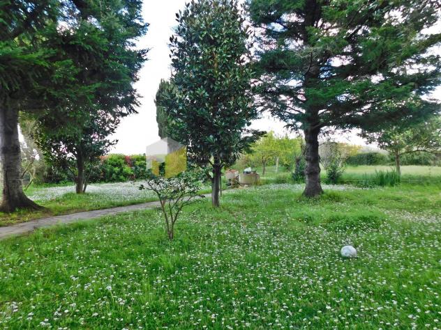 Casa semindipendente in vendita a San Giuliano Terme 300 mq Rif: 1317634 - Foto 4