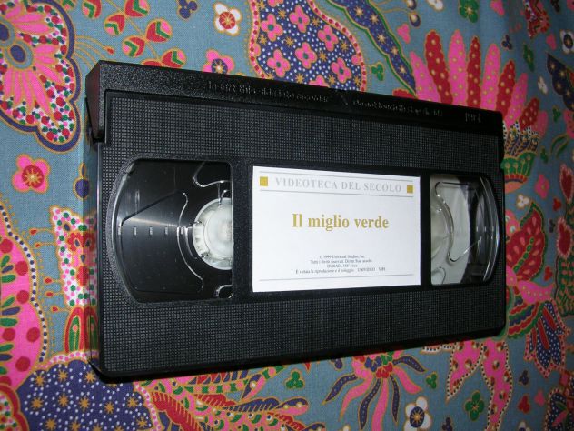IL MIGLIO VERDE - Foto 4