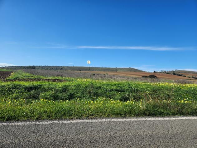 Agricolo in vendita a Ussana - Foto 2