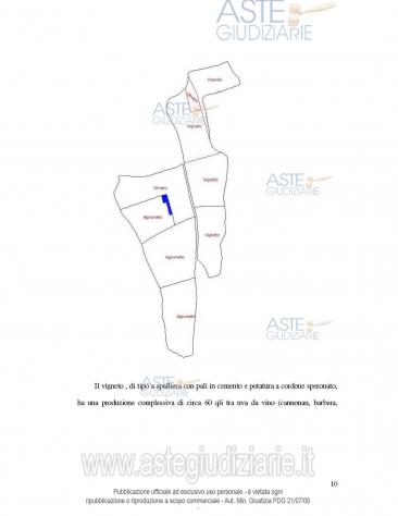 IMMOBILI-IMMOBILE COMMERCIALE-Villanovafranca - Las Plassas - Foto 4