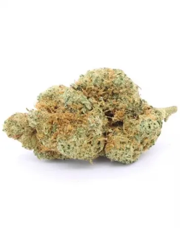 Tangie Mandee