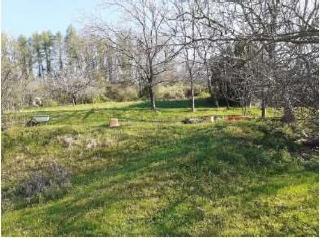 20/2025 2 VA - Casa rurale singola con terreni in asta a Montegrino V. - Foto 18