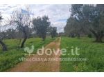 Rustico / Casale di 39 m² con 1 locale in vendita a Francavilla Fontana