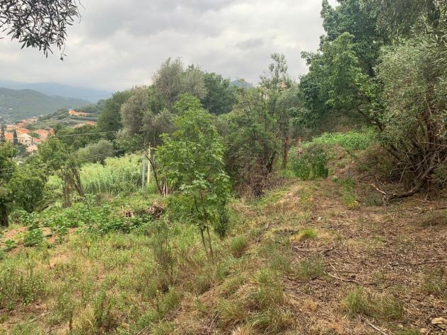 Terreno edificabile in vendita a Quiliano - Foto 17