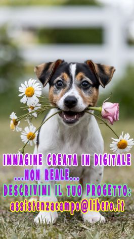 Realizzo immagini e grafiche fantasiose