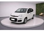 FIAT Panda III 1.0 FireFly 70Cv S&S Hybrid Easy rif. 23909664
