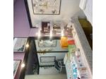 Estetica Chiara