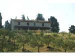 Rustico in vendita a San Miniato 270 mq  Rif: 1011985