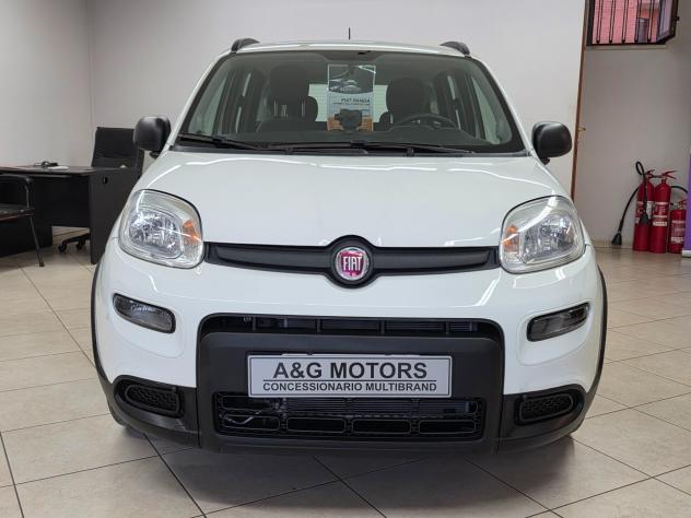 FIAT PANDA 1.0 FireFly S&S Hybrid CITY LIFE - Foto 2