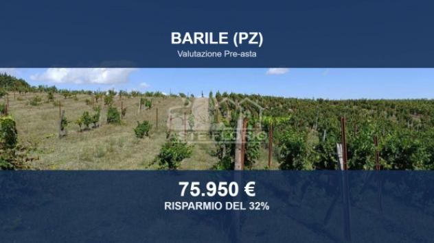 Immobile in asta di 42845 m² in vendita a Barile