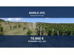Immobile in asta di 42845 m² in vendita a Barile