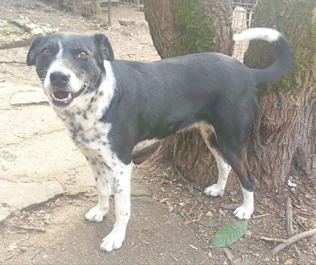 Kika - Foto 5