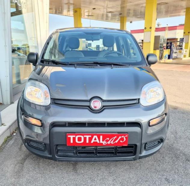 FIAT Panda 1.0 FireFly S&S Hybrid OK NEO PATENTATI rif. 23974029 - Foto 2