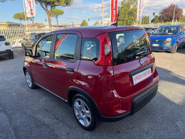 FIAT Panda Panda 1.0 firefly hybrid 70cv 5 POSTI, PRONTA CONSEGNA! - Foto 7