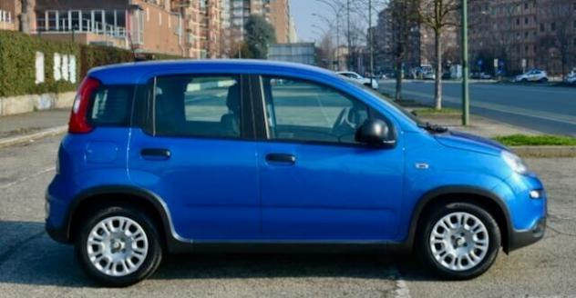 Fiat Panda 1.0 FireFly S&S Hybrid Pandina - Foto 4