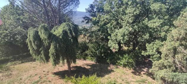 Villa in piana del mondo - Foto 19