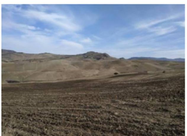 Immobile in asta di 4600 m² in vendita a Petralia Soprana - Foto 2