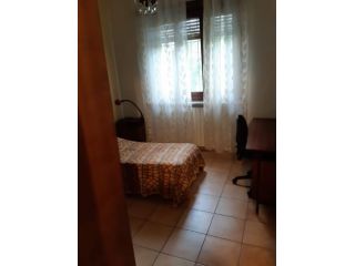 SINGOLA CORSO DANTE 300 euro