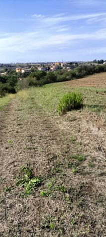 Agricolo in Via Nazareno Strampelli - Foto 6