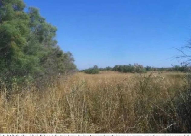 Immobile in asta di 89313 m² in vendita a Fiumicino - Foto 9
