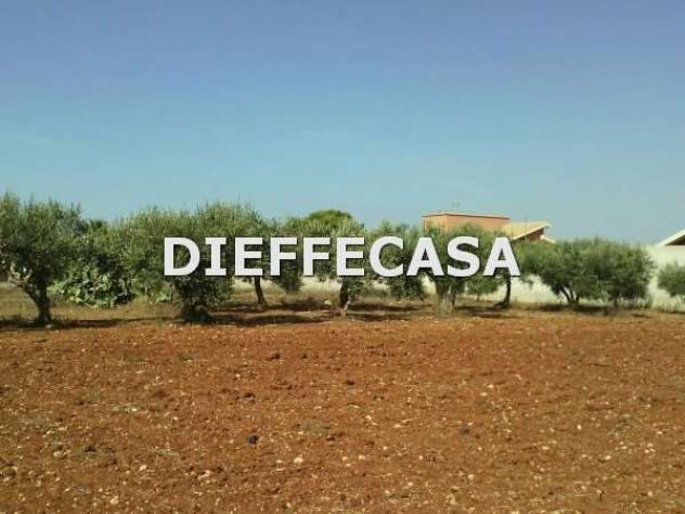 V1363 - In vendita a Marsala terreno in periferia - Foto 2