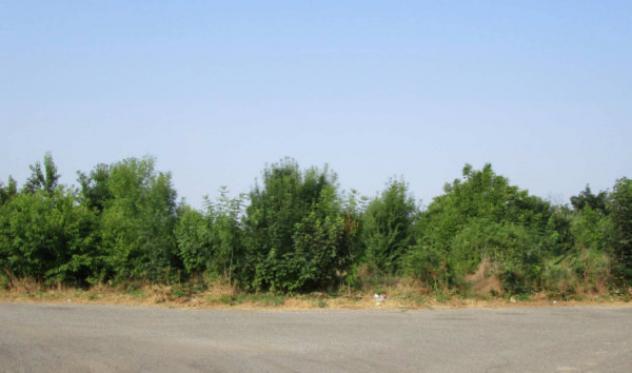 Immobile in asta di 2 m² in vendita a Rivanazzano Terme - Foto 3