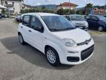 FIAT Pandina PANDA MY26 1.0 65CV HYBRID ICON