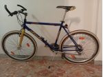 Mountain bike