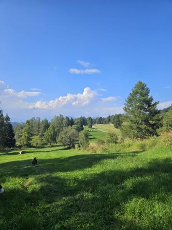 Appartamento in vendita a Marina di Carrara - Carrara 90 mq Rif: 1329931 - Foto 9