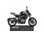 CFMOTO 300NK 300NK