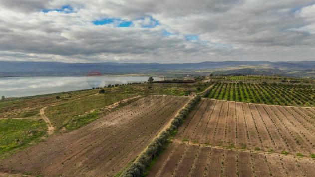 Terreno in vendita a Lentini - Foto 6